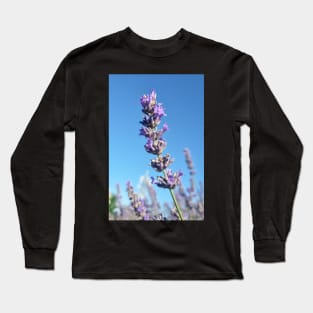 Single Lavender Flower Long Sleeve T-Shirt